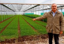 Consorzio Bonifica Destra-Sele: Vito Busillo confermato presidente vito busillo coldiretti eboli