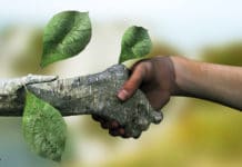 Giornata mondiale della Terra: l’importanza dell’ecosostenibilità Ecosostenibilità