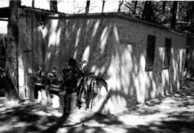 «La villetta è abusiva». Proprietari sconfitti al Tar, esultano Comune e Legambiente foto b news villetta abusiva