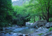 “Casa Pachamama”: nuovi modi di abitare la natura nel cuore del Tusciano