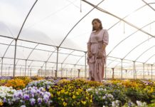 Cucinare coi fiori, l’azienda Cascone tra le start up più innovative d’Europa la signora dei fiori annamaria cascone