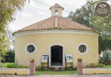 Dal 5 giugno apre il Museo della Bufala e della Mozzarella, il primo del Sud Italia Bufala