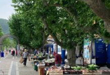 Montecorvino Rovella: torna su viale Cappuccini il mercato settimanale Montecorvino Rovella