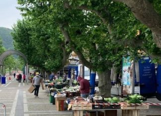 Montecorvino Rovella: torna su viale Cappuccini il mercato settimanale Montecorvino Rovella