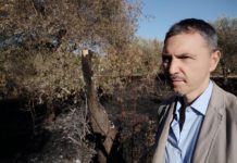 Incendio nel terreno della famiglia Farina: «In fiamme lavoro e ricordi» Enrico Farina