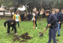 “Invasioni Botaniche” a Battipaglia: piantati tre Frassini nelle ville comunali Invasioni Botaniche