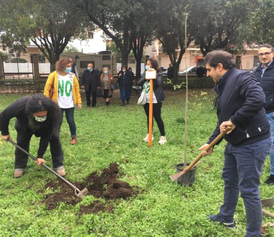 “Invasioni Botaniche” a Battipaglia: piantati tre Frassini nelle ville comunali Invasioni Botaniche