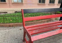 Giornata Internazionale contro la violenza sulle donne: le iniziative di “Non sei Sola” Non sei sola