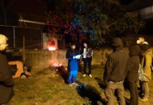 Battipaglia, abbattuto un Pino Pinea: “La Fronda” organizza veglia funebre La Fronda