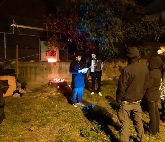 Battipaglia, abbattuto un Pino Pinea: “La Fronda” organizza veglia funebre La Fronda