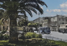 Verde in città: prosegue la raccolta firme del collettivo “La Fronda” La Fronda