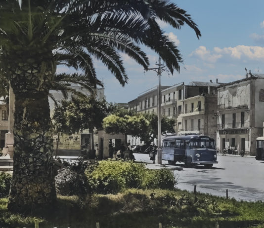 Verde in città: prosegue la raccolta firme del collettivo “La Fronda” La Fronda