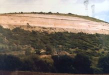 Castelluccio, cava da risanare: ok dalla Regione per il piano di maxi-piantumazione cava terralavoro colline castelluccio