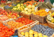 Il Tar boccia il ricorso: il “fruttivendolo dell’autostrada” dovrà chiudere fruttivendolo autostrada battipaglia
