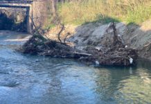 Gli alberi invadono il Tusciano: via alla rimozione dei tronchi Fiume Tusciano Alberi Battipaglia