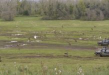 Rifiuti dalla Tunisia, Battipaglia è salva: i containers andranno a Persano. Esultano i politici Area militare persano rifiuti tunisia