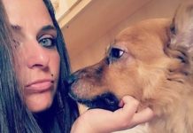 Femminicidio a Pontecagnano: spara alla sua ex e fugge via, muore Anna Borsa Anna Borsa Pontecagnano Femminicidio