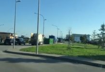Battipaglia, Asi: in arrivo boschi urbani nelle aree marginali abbandonate Asi