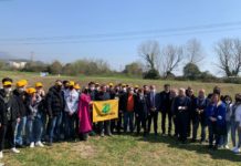 Un bosco accanto allo Stir: così il verde “invade” la zona industriale BancaBosco