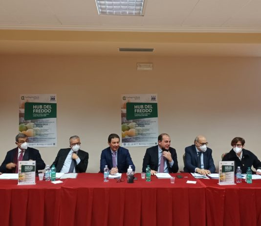 Ecco il Polo del Freddo: «Sarà il volano dell’economia nella Piana del Sele» hub del freddo polo del freddo 30 marzo 2022