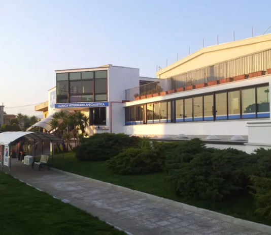 Battipaglia, il Tribunale vende l’ex clinica veterinaria di Enrico Lanaro clinica veterinaria enrico lanaro