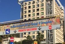 Battipaglia, bimba di due anni aggredita da un pitbull: gravi le ferite pitbull battipaglia bimba aggredita