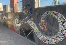 Battipaglia, torna in città l’iniziativa “Albero delle Identità” Albero delle Identità