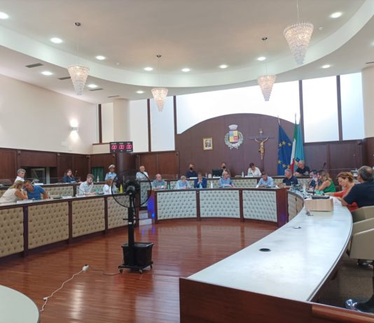 «Più assunzioni e un ospedale unico della Piana», pressing del consiglio comunale per evitare la chiusura consiglio comunale ospedale battipaglia 23 luglio 2022