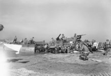 Battipaglia, musica e incontri per l’Avalanche Day 2022 Avalanche Day