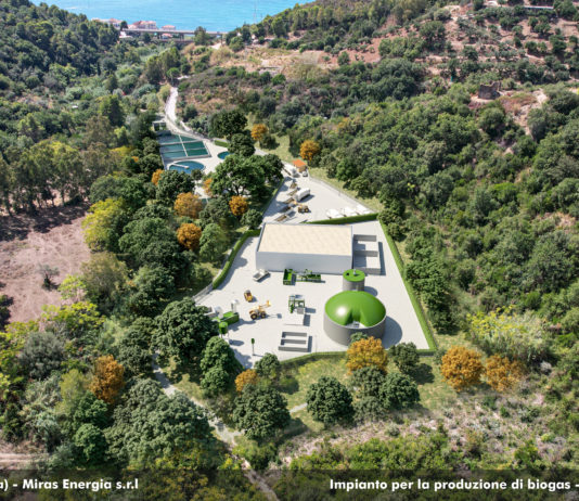 Ad Acciaroli il primo impianto in Europa per il trattamento di Posidonia impianto posidonia acciaroli