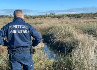 Nocera Inferiore: al via il corso per gli aspiranti ispettori ambientali Ispettori ambientali