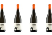 San Salvatore. C’è un vino di Paestum tra i 100 migliori al mondo San Salvatore