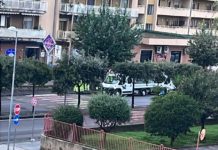 Maltempo a Battipaglia. Crolla albero nel Rione Sant’Anna Maltempo