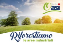 Le aree industriali diventano OAsi: 500 nuovi alberi a Buccino e Contursi