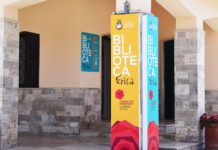 Capaccio Paestum, Violenza contro le donne: un seminario per sensibilizzare i giovani Seminario biblioteca erica