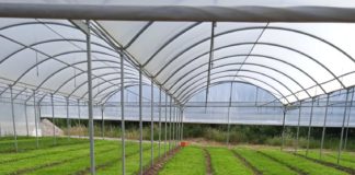 Piana del Sele, Terramore lancia un progetto di ricerca applicata sull’impatto ambientale di diverse tecniche agricole.