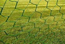 Battipagliese, derby a Pontecagnano per ripartire: sabato alle 14:30 contro l’ultima in classifica La rete di una porta da calcio su un campo in erba