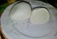 Mozzarella di bufala, cinque giorni di stop per il blocco dei tir: cosa resta alla filiera Mozzarelle di Bufala Campana DOP